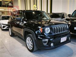 جيب رينيجيد